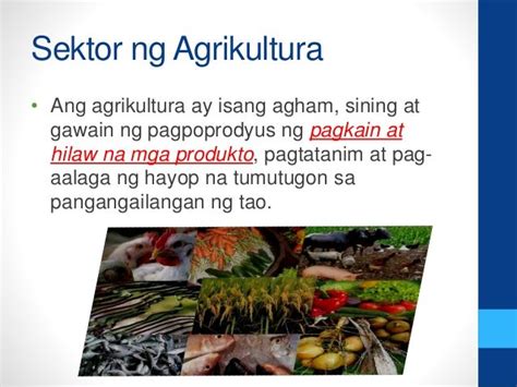 pangunahing produktong pang agrikultura|Sektor Ng Agrikultura .